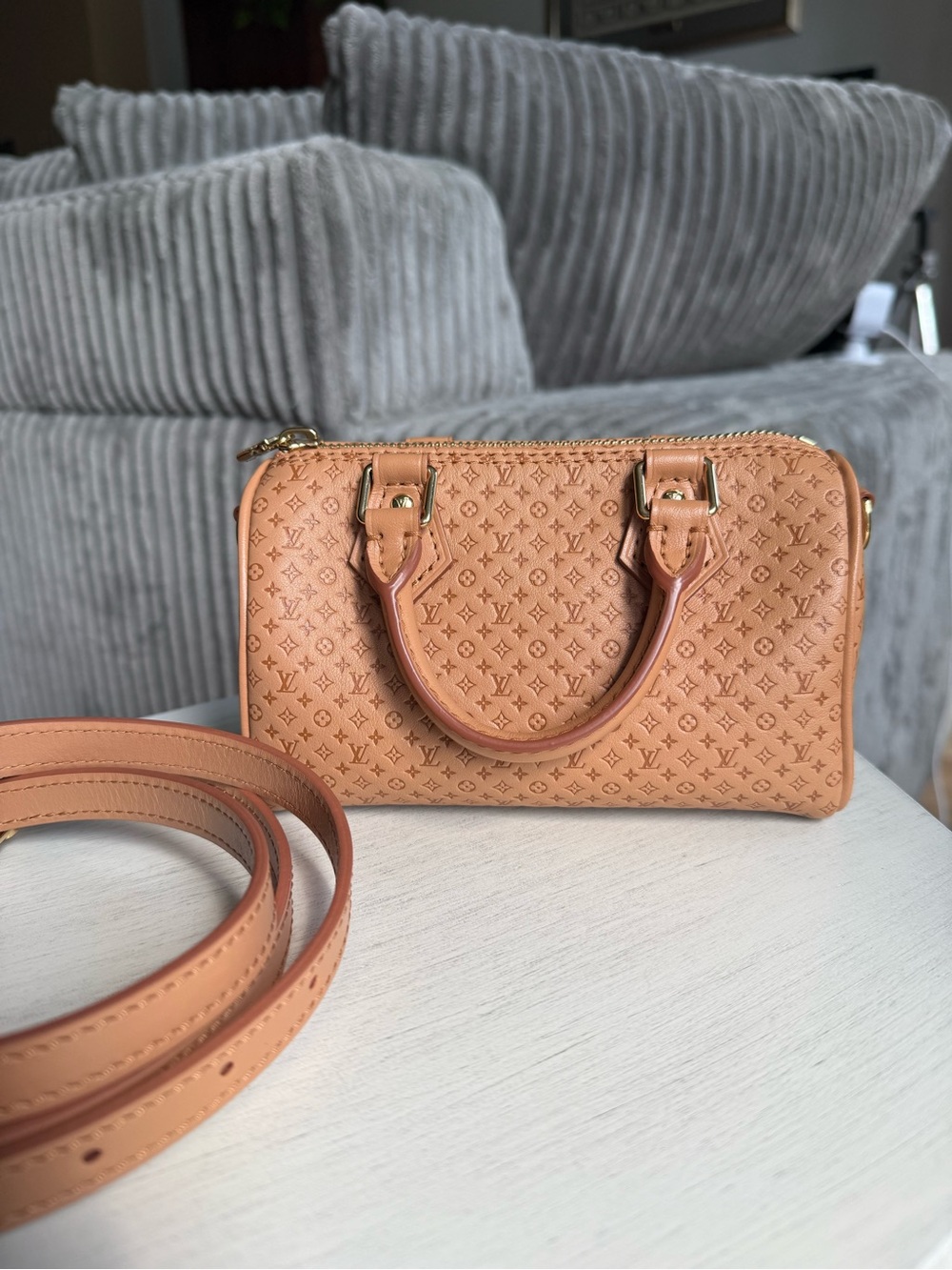 Louis Vuitton Nano Speedy